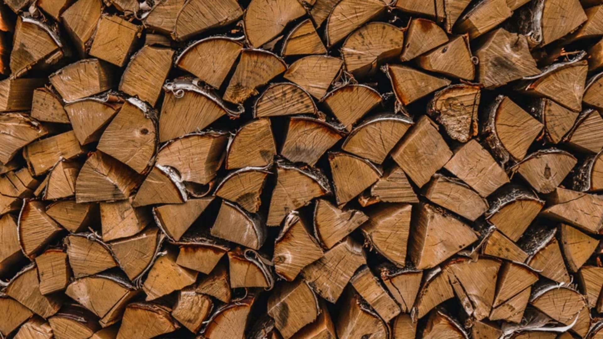 Best Deck Materials for 2021 Winthorpe Design & Build